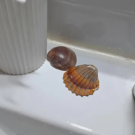 Gemuetliches 