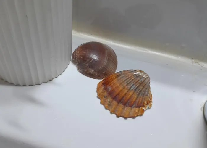 Gemuetliches 
